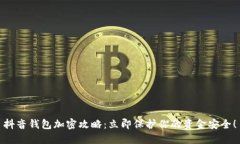 抖音钱包加密攻略：立即