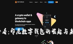 2025必看：印尼数字钱包的