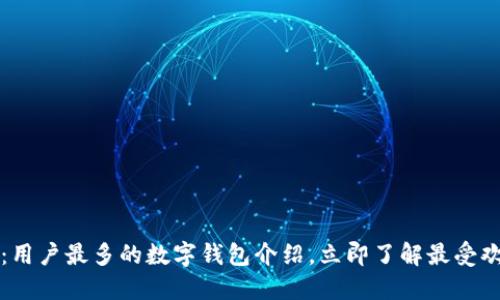 2025必看：用户最多的数字钱包介绍，立即了解最受欢迎的选择！
