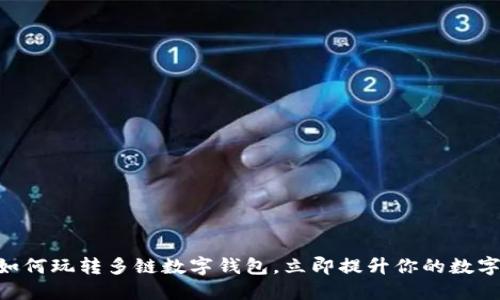: 2025必看：如何玩转多链数字钱包，立即提升你的数字资产管理水平