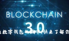 2025必看：能开通数字钱包