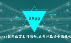 2025必看：vpay国际数字支付