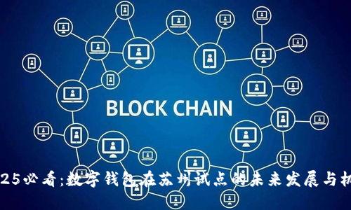 2025必看：数字钱包在苏州试点的未来发展与机遇
