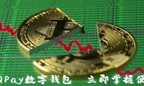 
2023年必看：QPay数字钱包—立即掌握便捷支付新体验