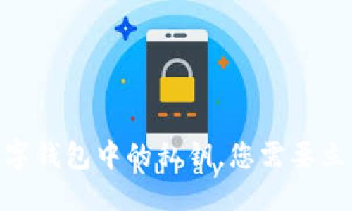 2025必看：揭秘数字钱包中的私钥，您需要立即了解的安全知识