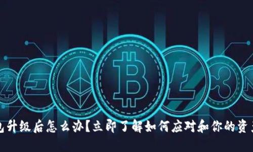 TP钱包升级后怎么办？立即了解如何应对和你的资产管理