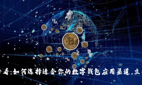 2025必看：如何选择适合你的数字钱包应用渠道，立即行动！