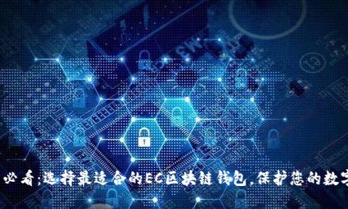 2025必看：选择最适合的EC区块链钱包，保护您的数字资产