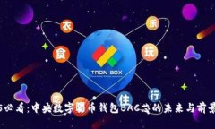 2025必看：中央数字货币钱
