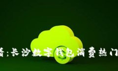 2025必看：长沙数字钱包消