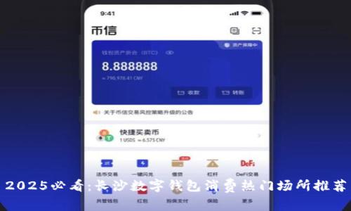 2025必看：长沙数字钱包消费热门场所推荐
