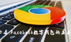 2025必看：Facebook数字钱包
