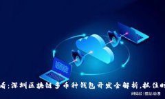 2025必看：深圳区块链多币