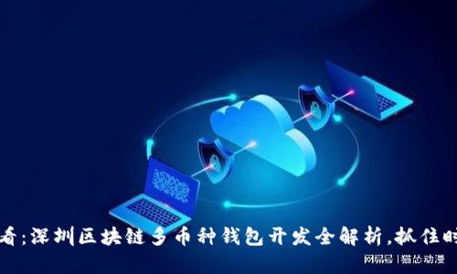 2025必看：深圳区块链多币种钱包开发全解析，抓住时代机遇！