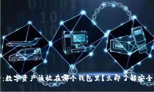 2025必看：数字资产该放在哪个钱包里？立即了解安全存储方案！
