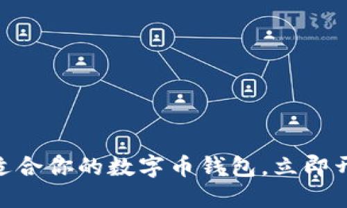 2025必看：如何选择适合你的数字币钱包，立即开始你的加密货币之旅