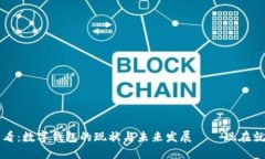 2025必看：数字钱包的现状