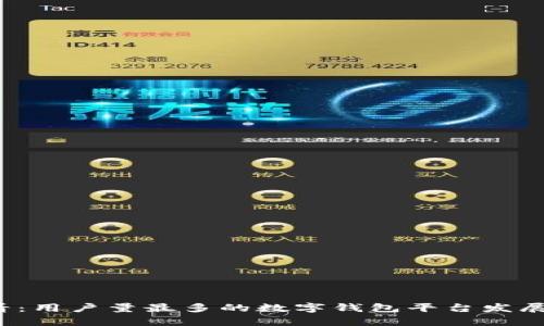 2025必看：用户量最多的数字钱包平台发展趋势分析