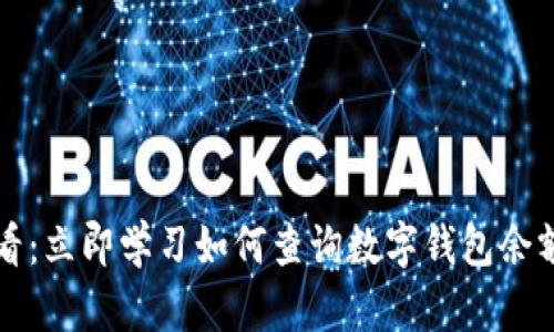 2025必看：立即学习如何查询数字钱包余额的方法！