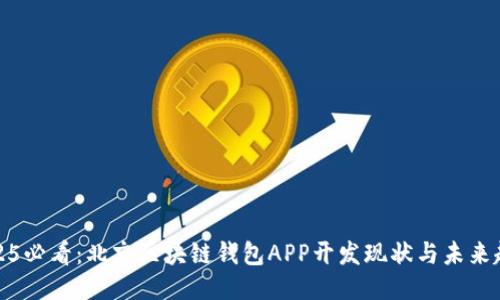 2025必看：北京区块链钱包APP开发现状与未来趋势