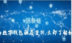 2023年揭露的清白数字钱包