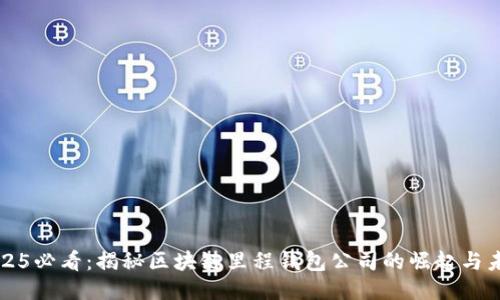 2025必看：揭秘区块链里程钱包公司的崛起与未来