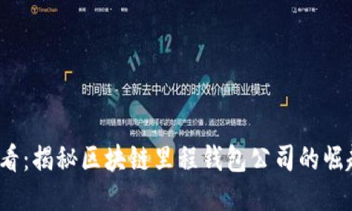 2025必看：揭秘区块链里程钱包公司的崛起与未来