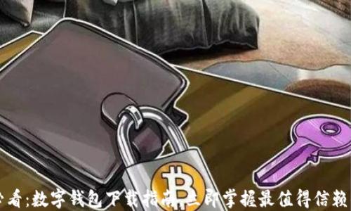 
2025必看：数字钱包下载指南，立即掌握最值得信赖的选择！