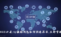 2025必看：tp波场钱包如何