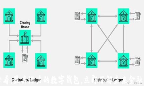 
2025必看：最具潜力的数字钱包，立即了解未来金融的转变！