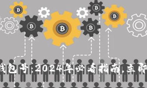 数字人民币一二类钱包号：2024年必看指南，立即掌握你的数字资产！