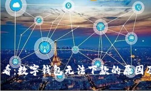 2025年必看：数字钱包无法下款的原因及解决方案