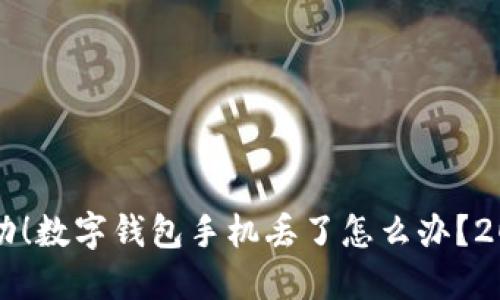 立即采取行动！数字钱包手机丢了怎么办？2025必看指南