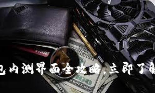 2025必看：数字货币钱包内测界面全攻略，立即了解如何选择最优质的钱包