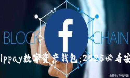 立即了解Chippay数字资产钱包：2025必看安全投资工具