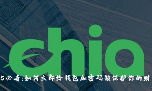 : 2025必看：如何立即给钱包加密码锁保护你的财产安全