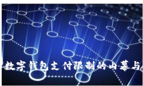 立即了解数字钱包支付限制的内幕与解决方案