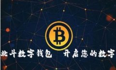 2025必看：北斗数字钱包—