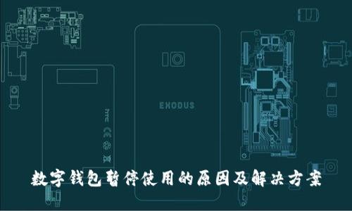 数字钱包暂停使用的原因及解决方案