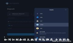 :如何识别和避免数字钱包