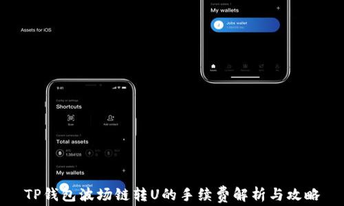 
TP钱包波场链转U的手续费解析与攻略
