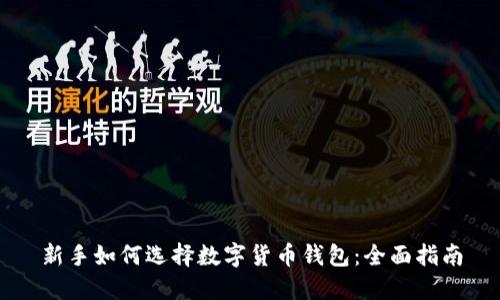 新手如何选择数字货币钱包：全面指南