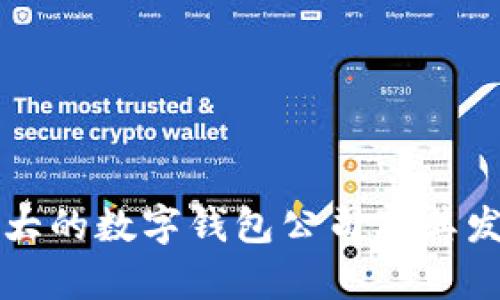 美国最大的数字钱包公司及其发展前景