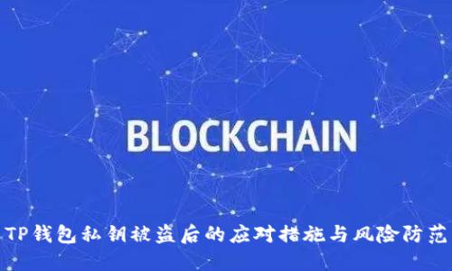 TP钱包私钥被盗后的应对措施与风险防范