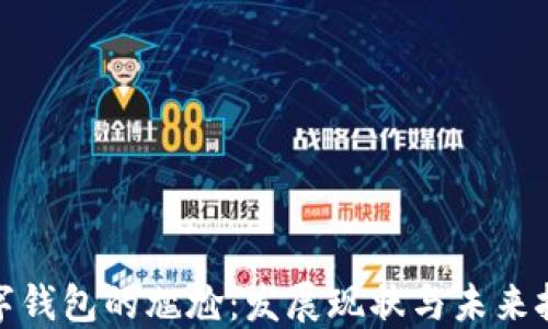 
数字钱包的尴尬：发展现状与未来挑战