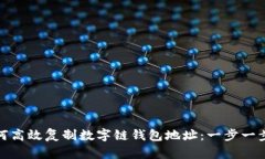 : 如何高效复制数字链钱包