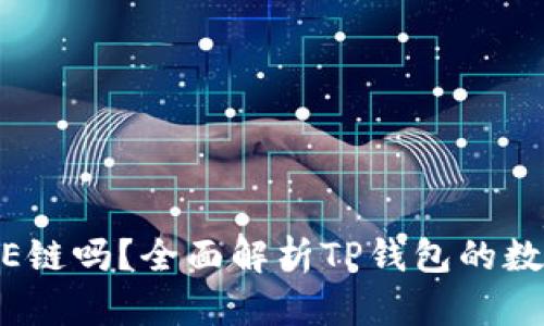 TP钱包支持DOGE链吗？全面解析TP钱包的数字资产管理功能