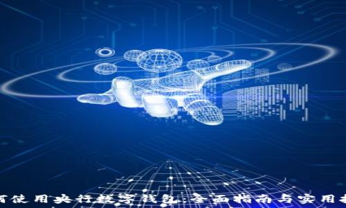   
如何使用央行数字钱包：全面指南与实用技巧