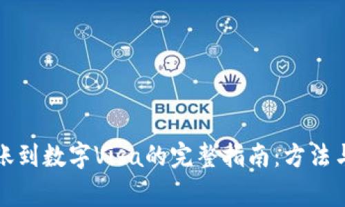 TP钱包转账到数字Visa的完整指南：方法与注意事项