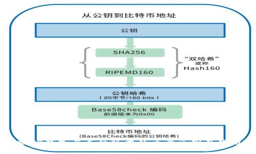 电脑版TP钱包与手机版本的主要区别及使用指南
